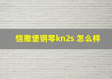 恺撒堡钢琴kn2s 怎么样